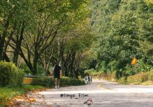 2025 완주만경강 메디오폰도 린고필름